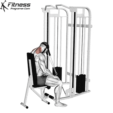 Cable Seated Neck Extension with head harness