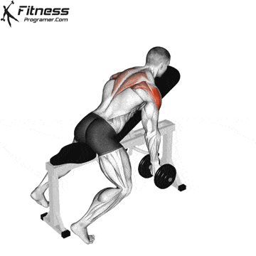 حرکت فلای T معکوس با دمبل روی میز شیب‌دار
