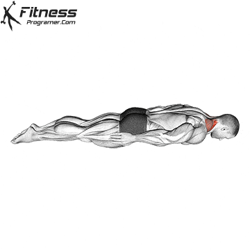 Prone Cervical