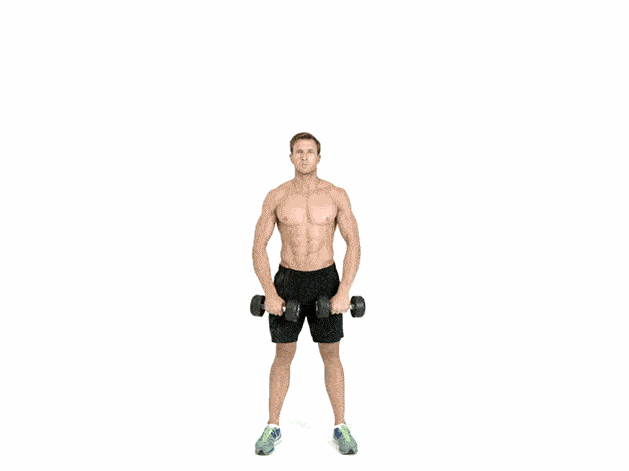 dumbbell upright row