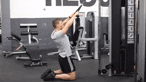 kneeling high cable row workout