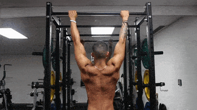 scapular pull up