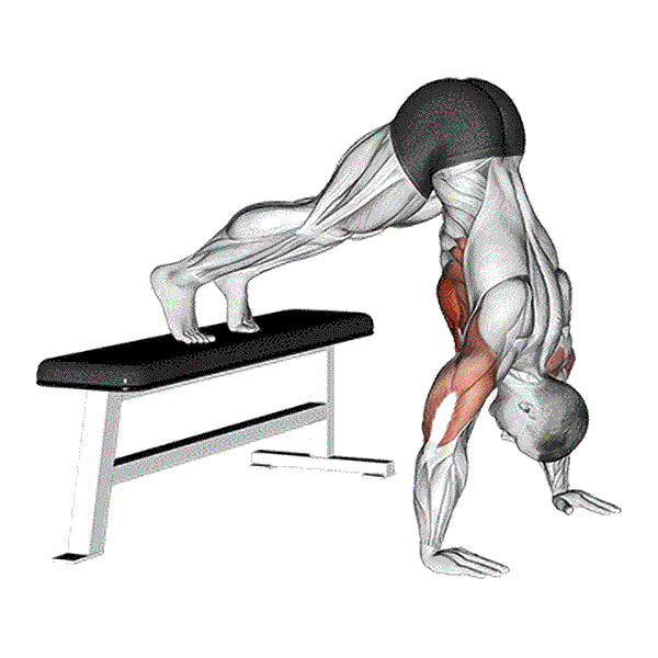 Bench Pike Push up