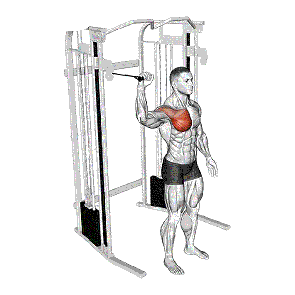90-degree Cable Internal Rotation