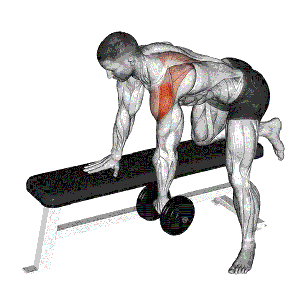 Dumbbell Rear Delt Row