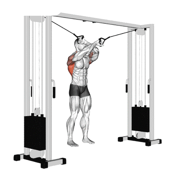 Full Range Of Motion Lat Pulldown