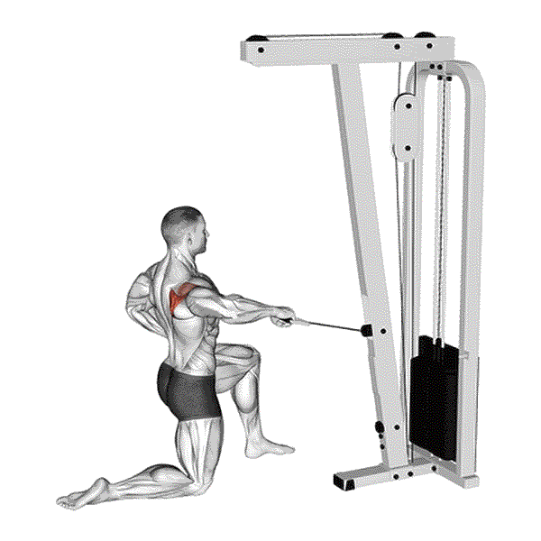 Half Kneeling Cable External Rotation