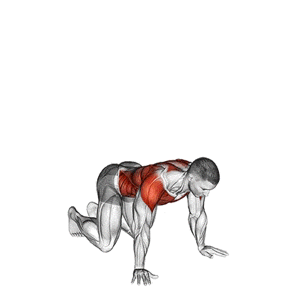 Kneeling T-spine Rotation