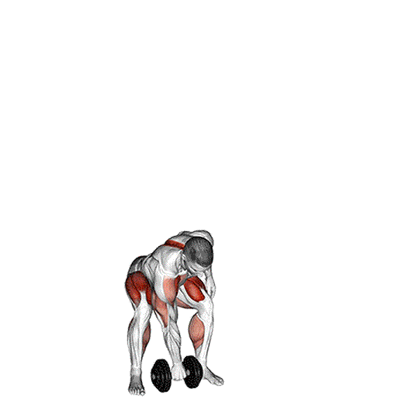 One Arm Dumbbell Snatch