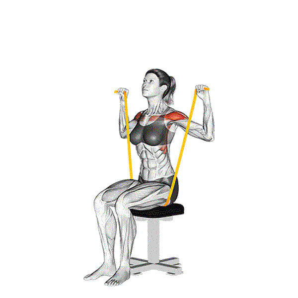 Resistance Band Seated Shoulder Press