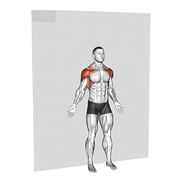 Wall Supported Arm Raises