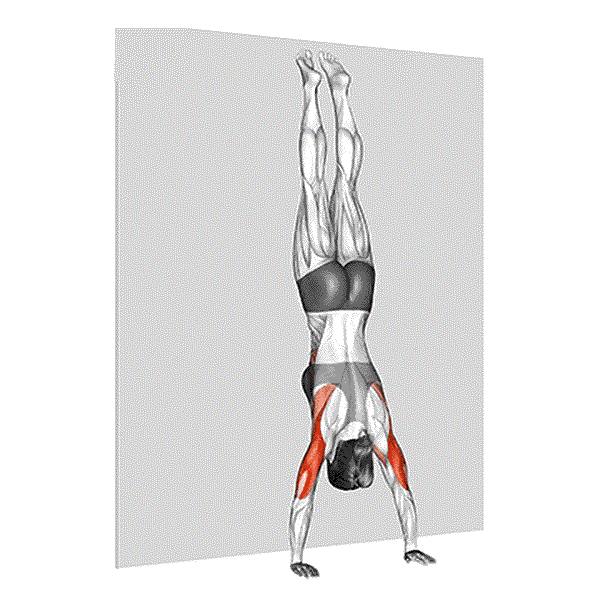 Wall-Supported Handstand Push-Ups