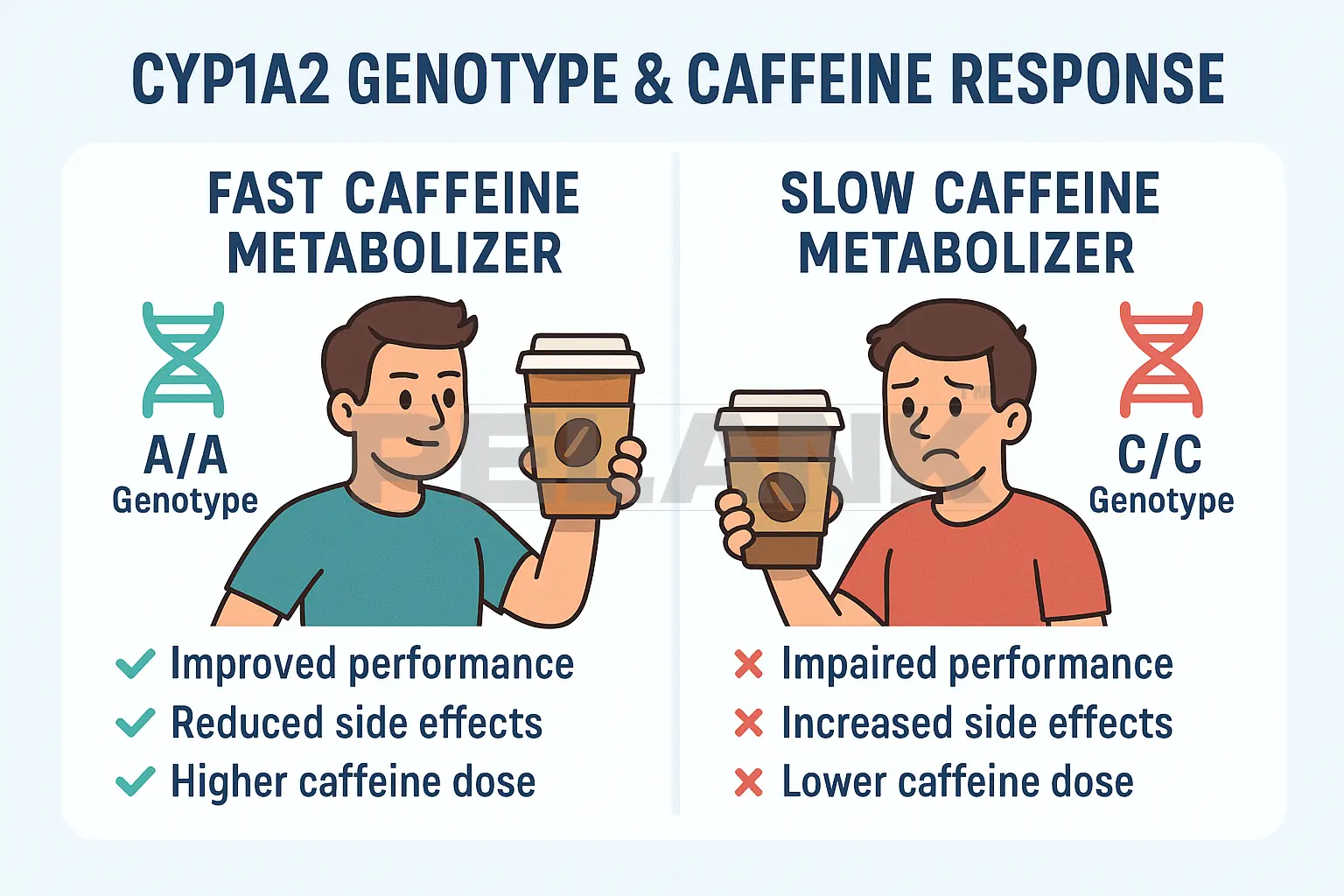 کافئین و ژنتیک