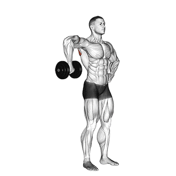 Dumbbell Cuban External Rotation