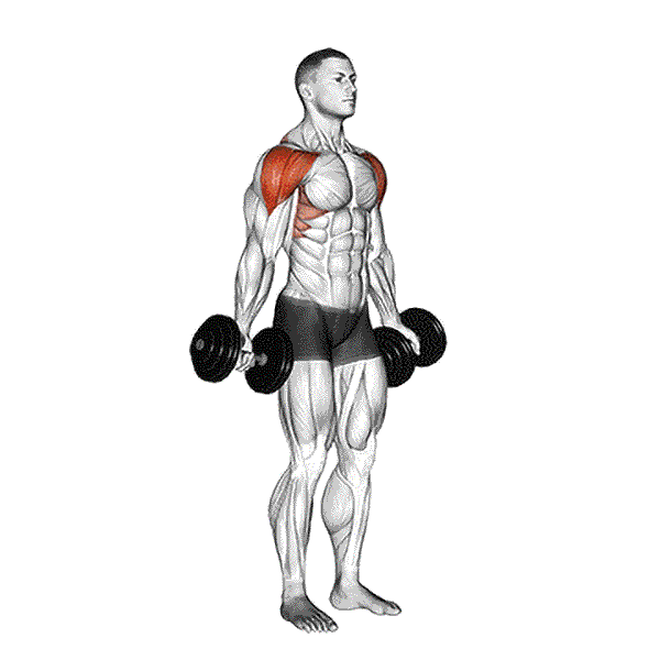 Dumbbell Scaption