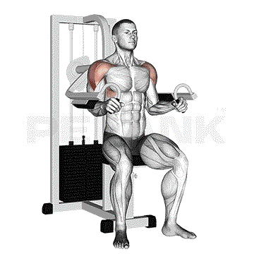 Lateral Raise Machine