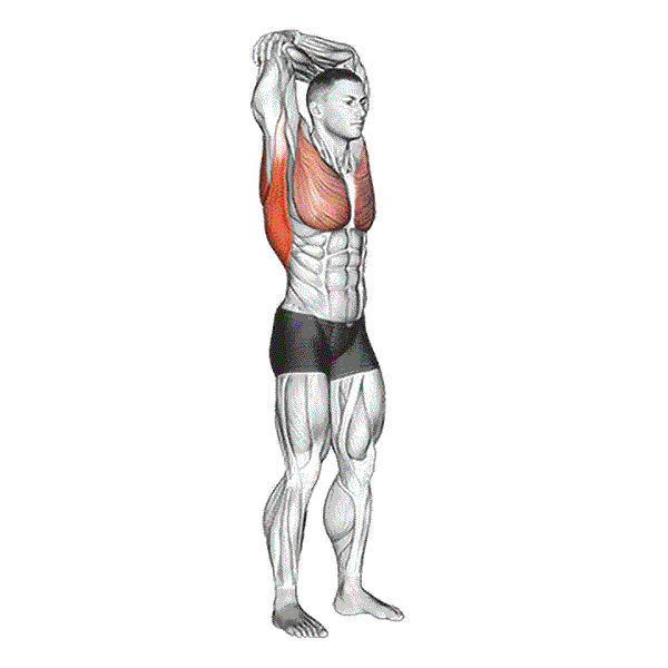 Standing Reach Up Back rotation Stretch