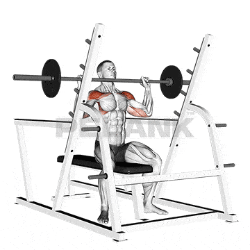 Seated Barbell Shoulder Press