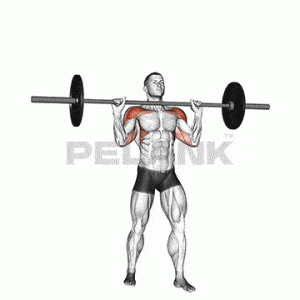 پرس نظامی هالتر