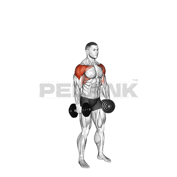 Dumbbell 6 Way Raise