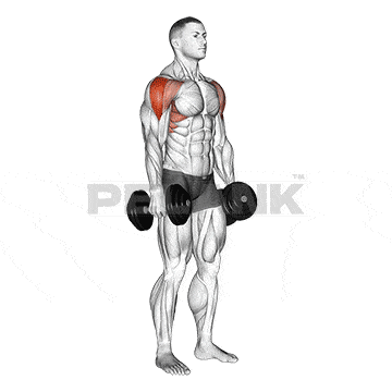 Standing Dumbbell Lateral Raise