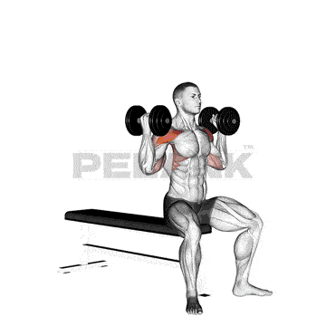 پرس نیمه آرنولدی