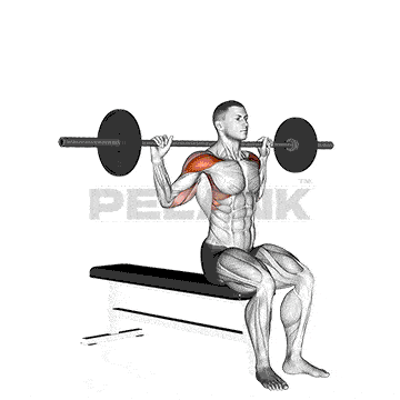 Seated Behind Neck Press