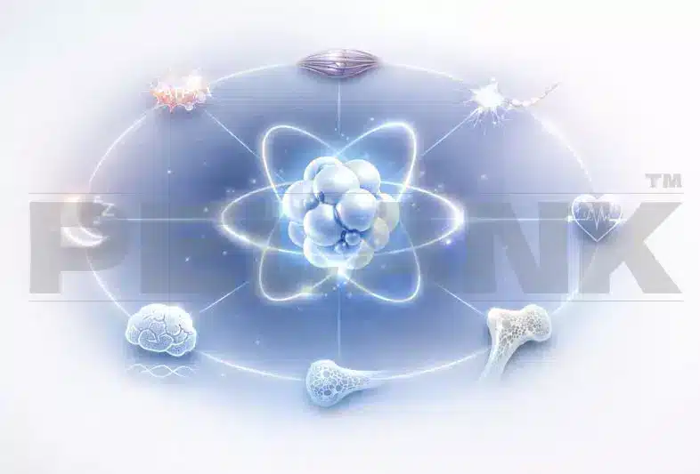 منیزیم در بدن چه کار می‌کند؟