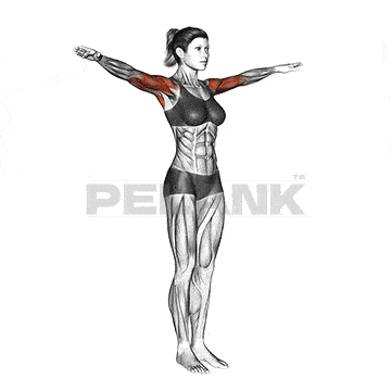 Standing Side Arm Raises No Weight